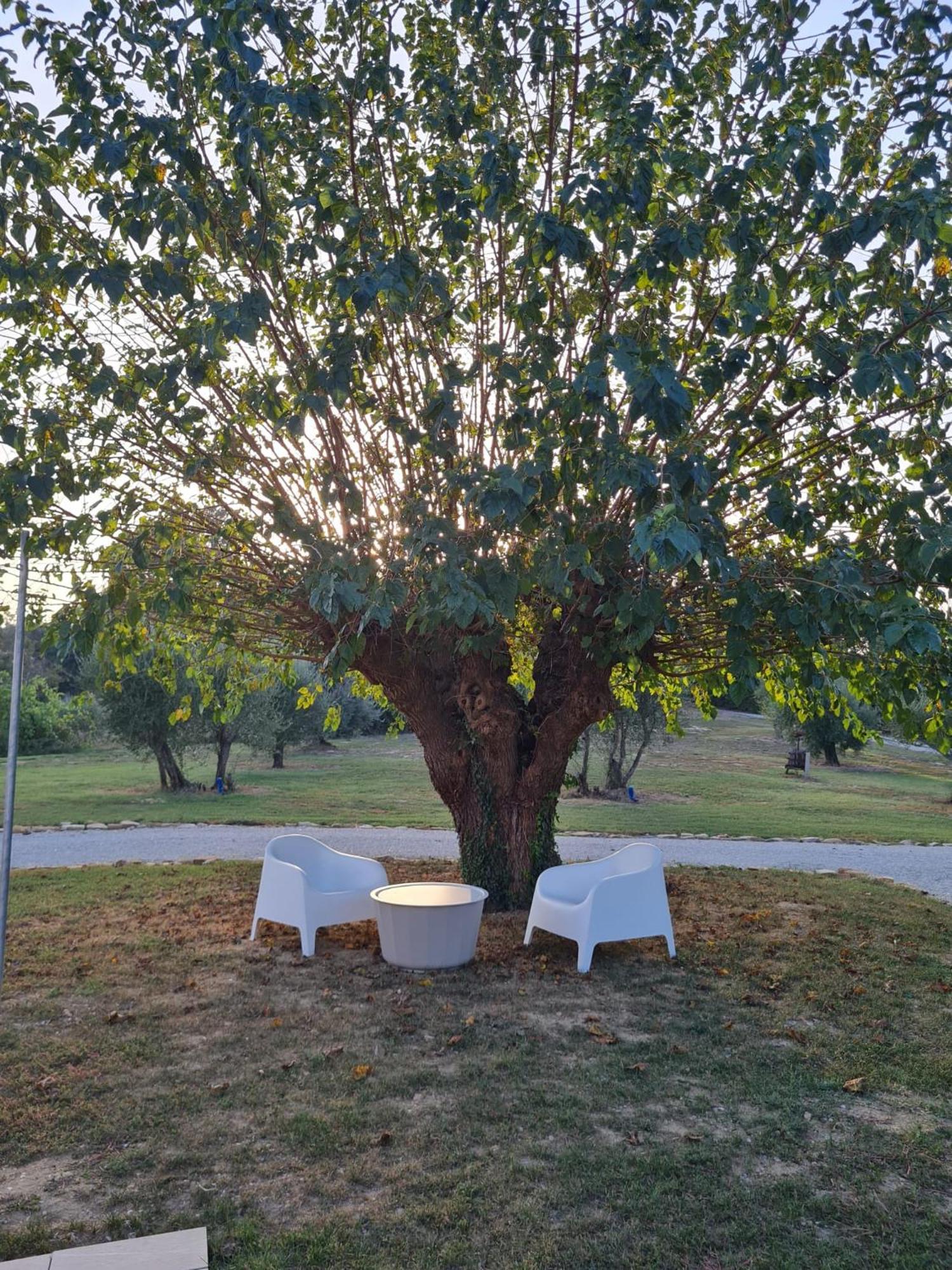 Orto Della Lepre Βίλα Montemaggiore al Metauro Εξωτερικό φωτογραφία